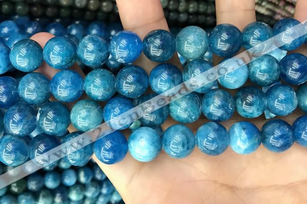 CAP654 15.5 inches 12mm round natural apatite beads wholesale