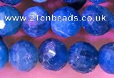 CAP658 15.5 inches 6mm faceted round apatite gemstone beads