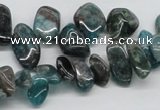 CAP73 15.5 inches 10*20mm nugget dyed apatite gemstone beads wholesale