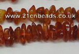 CAR115 16 inches 3*6mm - 4*8mm natural amber chips beads