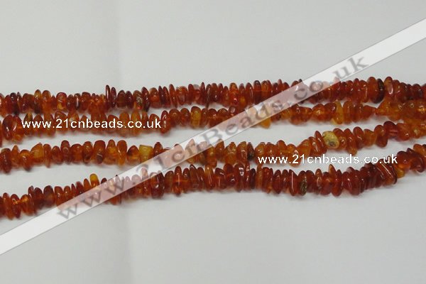 CAR115 16 inches 3*6mm - 4*8mm natural amber chips beads