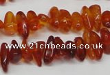 CAR116 16 inches 3*8mm - 4*10mm natural amber chips beads