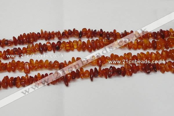 CAR116 16 inches 3*8mm - 4*10mm natural amber chips beads