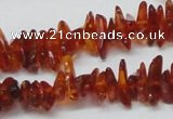 CAR117 16 inches 2*6mm - 3*10mm natural amber chips beads