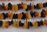 CAR204 24 inches 3*8mm natural amber chips beads wholesale