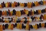 CAR205 32 inches 3*5mm natural amber chips beads wholesale