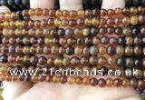 CAR215 15.5 inches 5mm round natural amber beads wholesale