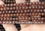 CAR231 15.5 inches 5mm - 5.5mm round natural amber beads wholesale