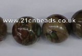 CAT5055 15.5 inches 18mm round natural aqua terra jasper beads