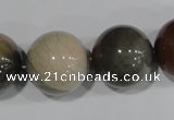 CAT5208 15.5 inches 20mm round aqua terra jasper beads wholesale