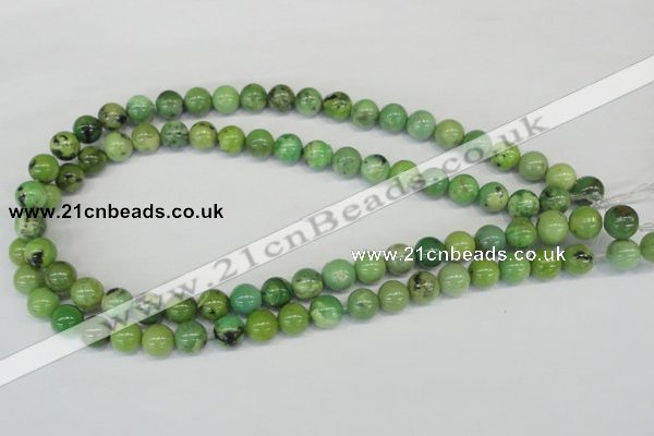 CAU03 10mm australia chrysoprase round gemstone beads Wholesale