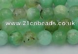 CAU402 15.5 inches 8mm round Australia chrysoprase beads