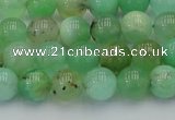 CAU402 15.5 inches 8mm round Australia chrysoprase beads