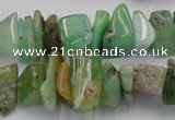 CAU408 15.5 inches 5*10mm - 10*15mm Australia chrysoprase chips beads