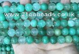 CAU444 15.5 inches 10mm round Australia chrysoprase beads