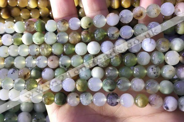 CAU461 15.5 inches 8mm round Australia chrysoprase beads