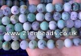 CAU469 15.5 inches 12mm round Australia chrysoprase beads