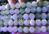 CAU475 15.5 inches 13mm round Australia chrysoprase beads