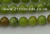 CAU501 15.5 inches 6mm round Chinese chrysoprase beads wholesale