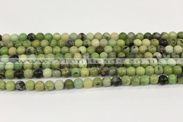 CAU535 15.5 inches 6mm round Australia chrysoprase gemstone beads