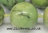 CAU544 15.5 inches 16mm round Australia chrysoprase gemstone beads