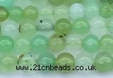 CAU569 15 inches 5mm round Australia chrysoprase beads