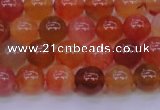 CBC412 15.5 inches 8mm AA grade round orange chalcedony beads