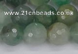 CBC704 15.5 inches 12mm faceted round African green chalcedony beads