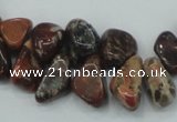 CBD16 15.5 inches 8*12mm chip brecciated jasper gemstone beads