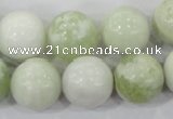 CBJ207 15.5 inches 16mm round butter jade beads wholesale