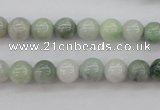 CBJ609 15.5 inches 8mm round jade beads wholesale