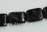 CBT07 16 inches 15*20mm rectangle natural biotite beads wholesale