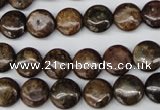 CBZ71 15.5 inches 10mm flat round bronzite gemstone beads