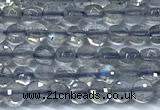 CCB1352 15 inches 2.5mm faceted coin labradorite beads