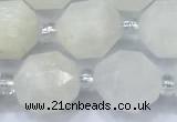 CCB1451 15 inches 9mm - 10mm faceted white moonstone beads