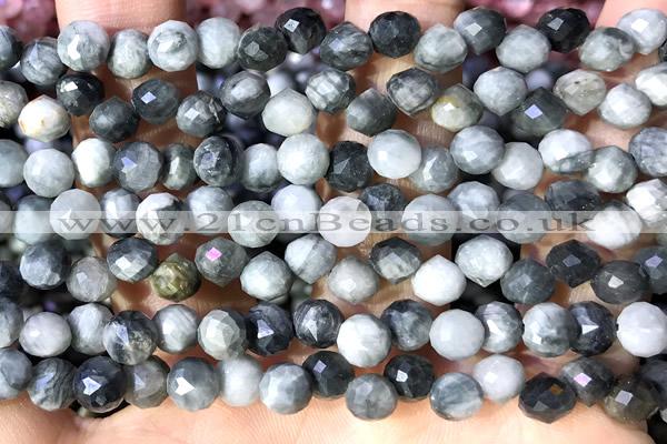 CCB1644 15 inches 6mm faceted teardrop eagle eye jasper beads