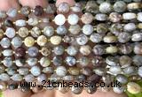 CCB1743 15 inches 6mm faceted coin gobi agate beads