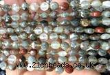 CCB1783 15 inches 6mm faceted coin blood jasper beads