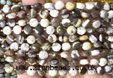 CCB1796 15 inches 6mm faceted coin Australian zebra jasper beads
