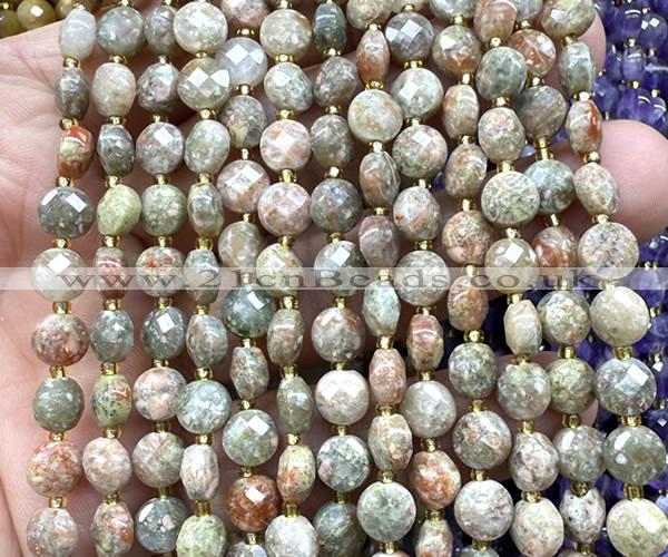 CCB1815 15 inches 6mm faceted coin Chinese unakite beads