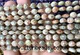CCB1815 15 inches 6mm faceted coin Chinese unakite beads