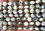 CCB1933 15 inches 8mm faceted coin tree agate beads wholesale
