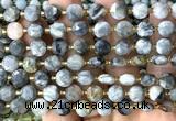 CCB2000 15 inches 8mm faceted coin eagle eye jasper beads