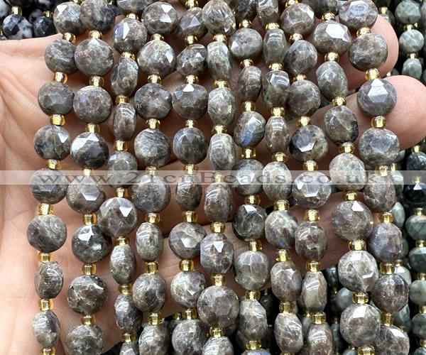 CCB2030 15 inches 8mm faceted coin rainbow labradorite beads