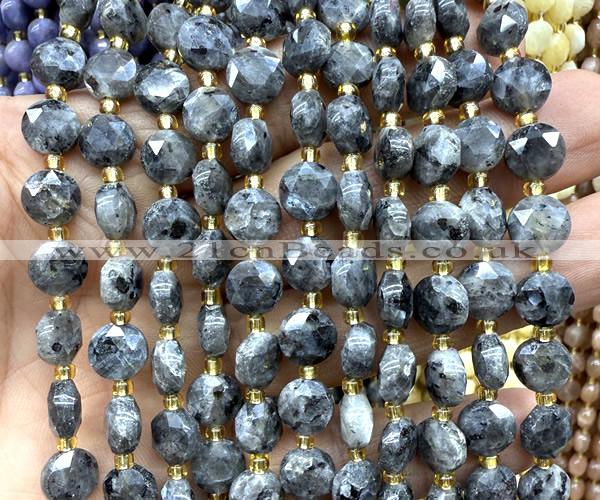 CCB2031 15 inches 8mm faceted coin black labradorite beads
