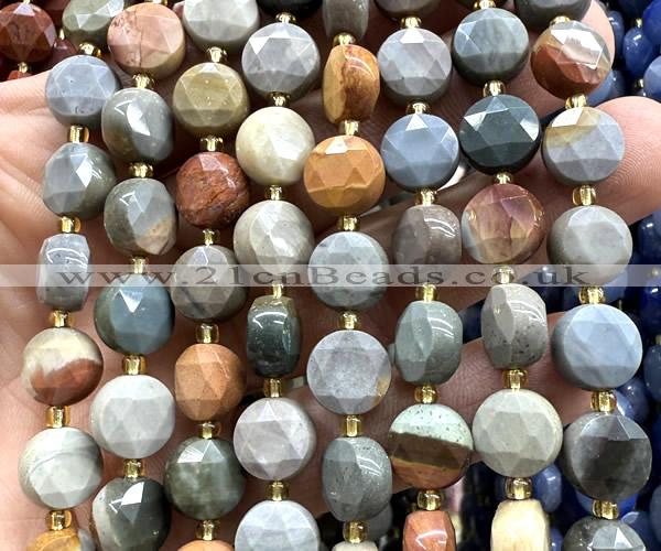 CCB2144 15 inches 10mm faceted coin American picture jasper beads