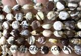 CCB2160 15 inches 10mm faceted coin Australian zebra jasper beads