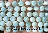 CCB2181 15 inches 10mm faceted coin amazonite beads wholesale