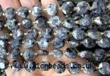 CCB2191 15 inches 10mm faceted coin black labradorite beads