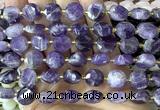 CCB2302 15 inches 12mm faceted coin dogtooth amethyst beads